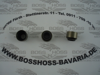 Ventilschaftdichtungen - Valvestem Seals  Boss Hoss ZZ4